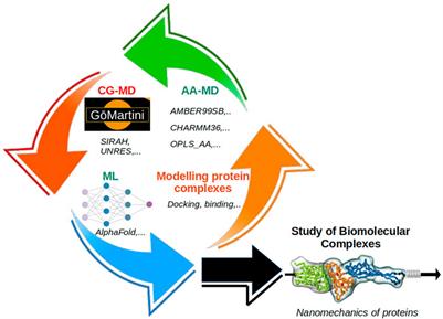 Editorial: Recent advances in computational modelling of biomolecular complexes